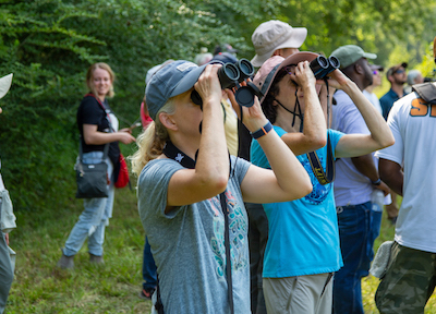 Black Belt Birding