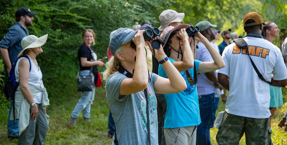 Black Belt Birding