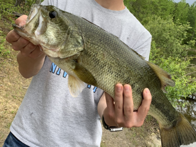 Cahaba River Fish