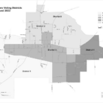 Municipal elections