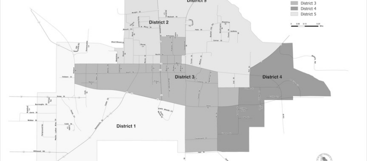 Municipal elections