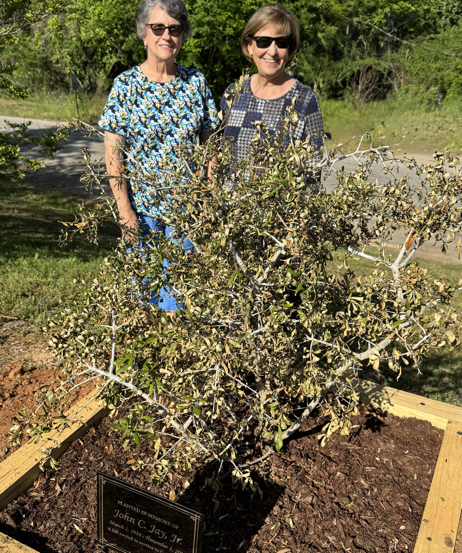 Pictured are his wife, Sharon Jay; fellow Oakwood Cemetery board member, Marjorie Davis; the newly planted Auburn Toomer’s Oak; and a plaque that reads “A life rooted in service to Greensboro.”